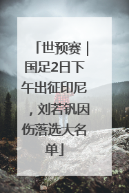 世预赛｜国足2日下午出征印尼，刘若钒因伤落选大名单