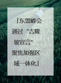 东盟峰会通过“吉隆坡宣言” 聚焦加强区域一体化