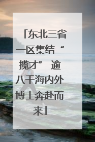东北三省一区集结“揽才” 逾八千海内外博士奔赴而来