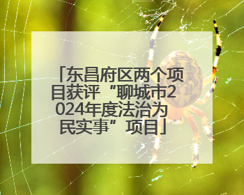 东昌府区两个项目获评“聊城市2024年度法治为民实事”项目