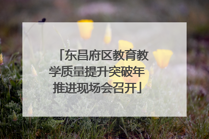 东昌府区教育教学质量提升突破年推进现场会召开