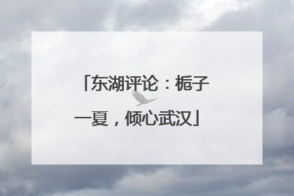 东湖评论：栀子一夏，倾心武汉