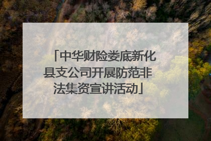 中华财险娄底新化县支公司开展防范非法集资宣讲活动