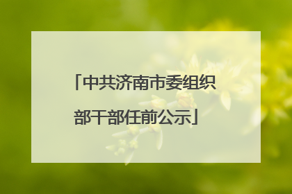 中共济南市委组织部干部任前公示