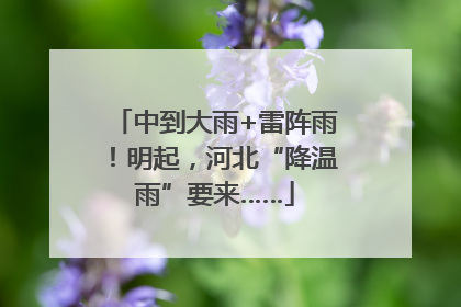 中到大雨+雷阵雨！明起，河北“降温雨”要来……