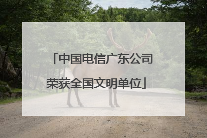 中国电信广东公司荣获全国文明单位