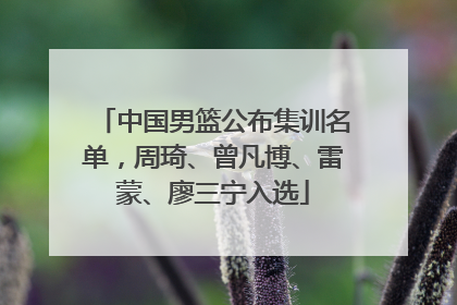 中国男篮公布集训名单，周琦、曾凡博、雷蒙、廖三宁入选