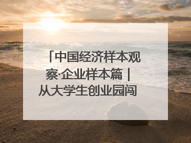 中国经济样本观察·企业样本篇｜从大学生创业园闯出来的“小巨人”——卡诺普机器人的逐梦历程