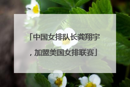 中国女排队长龚翔宇，加盟美国女排联赛