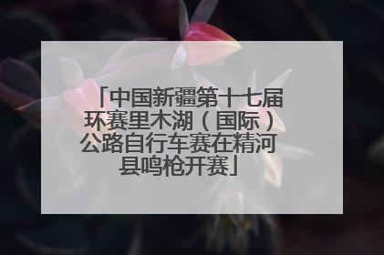 中国新疆第十七届环赛里木湖（国际）公路自行车赛在精河县鸣枪开赛