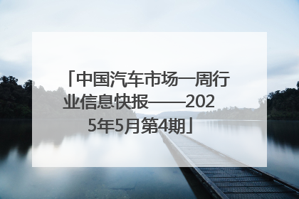 中国汽车市场一周行业信息快报——2025年5月第4期