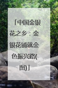 中国金银花之乡：金银花铺就金色振兴路(图)