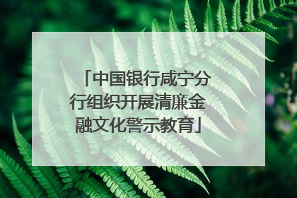 中国银行咸宁分行组织开展清廉金融文化警示教育