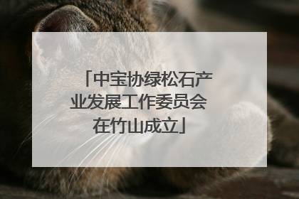 中宝协绿松石产业发展工作委员会在竹山成立