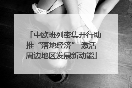 中欧班列密集开行助推“落地经济” 激活周边地区发展新动能