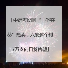 中高考期间“一举夺葵”热卖，六安这个村7万支向日葵售罄