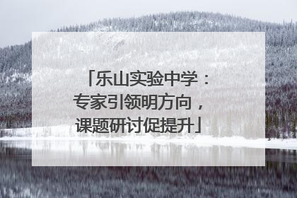 乐山实验中学：专家引领明方向，课题研讨促提升
