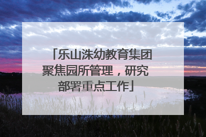 乐山洙幼教育集团聚焦园所管理，研究部署重点工作
