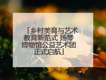 乡村美育与艺术教育新范式 扬琴博物馆公益艺术团正式启航