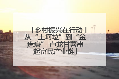 乡村振兴在行动丨从“土坷垃”到“金疙瘩” 卢龙甘薯串起富民产业链