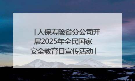 人保寿险省分公司开展2025年全民国家安全教育日宣传活动
