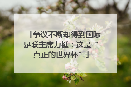 争议不断却得到国际足联主席力挺：这是“真正的世界杯”