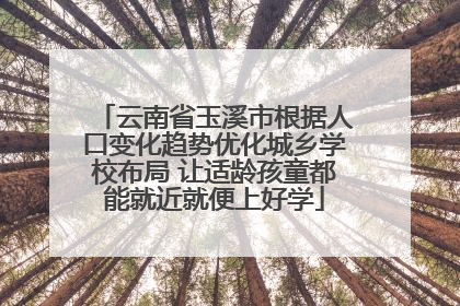 云南省玉溪市根据人口变化趋势优化城乡学校布局 让适龄孩童都能就近就便上好学