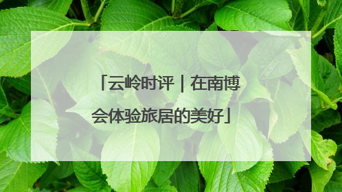 云岭时评｜在南博会体验旅居的美好