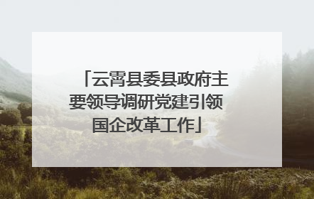 云霄县委县政府主要领导调研党建引领国企改革工作