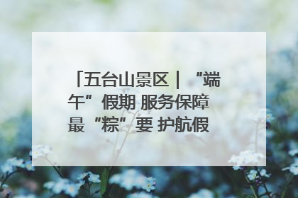 五台山景区｜“端午”假期 服务保障最“粽”要 护航假期“不打烊”