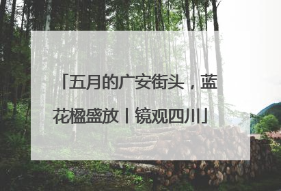 五月的广安街头，蓝花楹盛放丨镜观四川