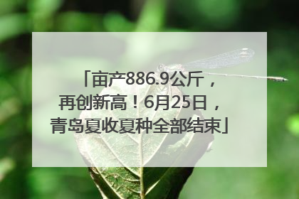 亩产886.9公斤，再创新高！6月25日，青岛夏收夏种全部结束