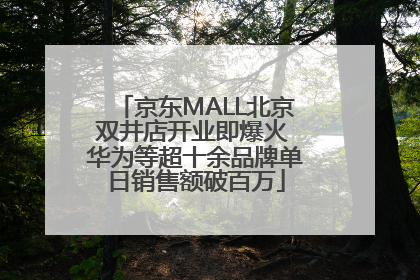 京东MALL北京双井店开业即爆火 华为等超十余品牌单日销售额破百万