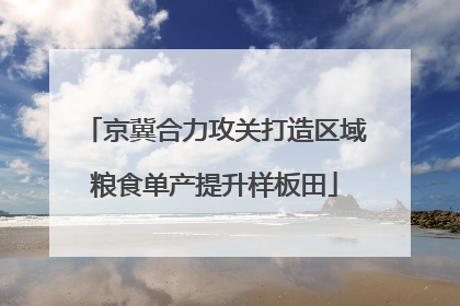 京冀合力攻关打造区域粮食单产提升样板田