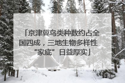 京津冀鸟类种数约占全国四成，三地生物多样性“家底”日益厚实