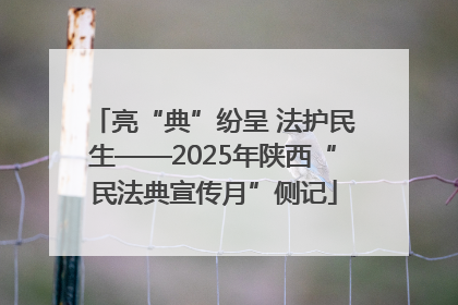 亮“典”纷呈 法护民生——2025年陕西“民法典宣传月”侧记