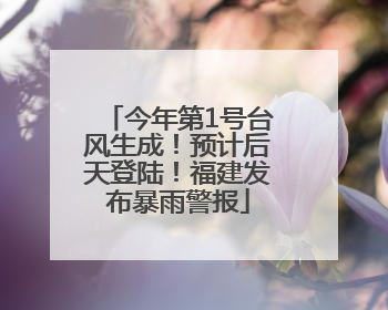 今年第1号台风生成！预计后天登陆！福建发布暴雨警报