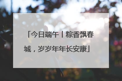 今日端午丨粽香飘春城，岁岁年年长安康