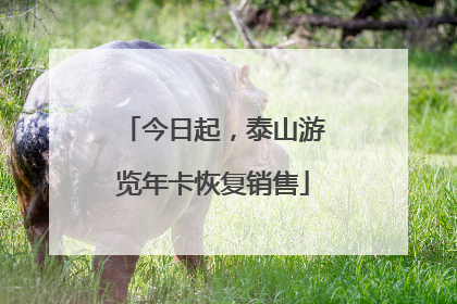 今日起，泰山游览年卡恢复销售