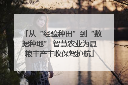 从“经验种田”到“数据种地” 智慧农业为夏粮丰产丰收保驾护航
