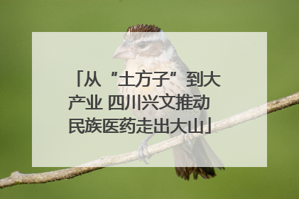 从“土方子”到大产业 四川兴文推动民族医药走出大山