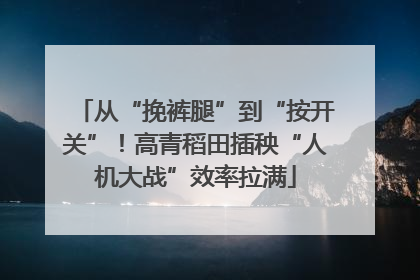从“挽裤腿”到“按开关”！高青稻田插秧“人机大战”效率拉满