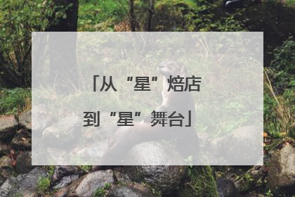 从“星”焙店到“星”舞台