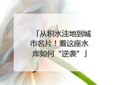 从积水洼地到城市名片！看这座水库如何“逆袭”