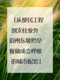 从便民工程到支柱业务 眉州东坡把早餐做成会呼吸的城市配套