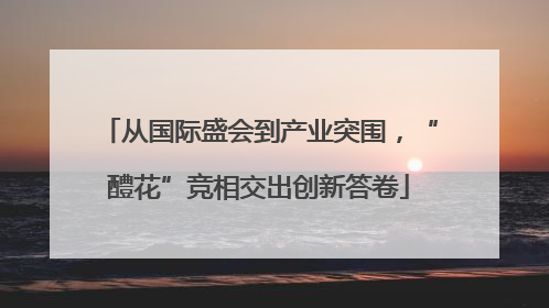 从国际盛会到产业突围，“醴花”竞相交出创新答卷