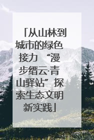 从山林到城市的绿色接力 “漫步缙云·青山驿站”探索生态文明新实践