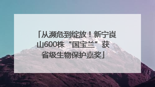 从濒危到绽放！新宁崀山600株“国宝兰”获省级生物保护嘉奖
