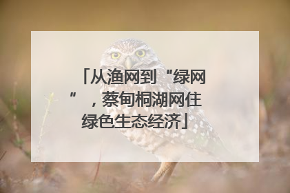 从渔网到“绿网”，蔡甸桐湖网住绿色生态经济