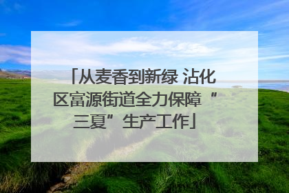 从麦香到新绿 沾化区富源街道全力保障“三夏”生产工作